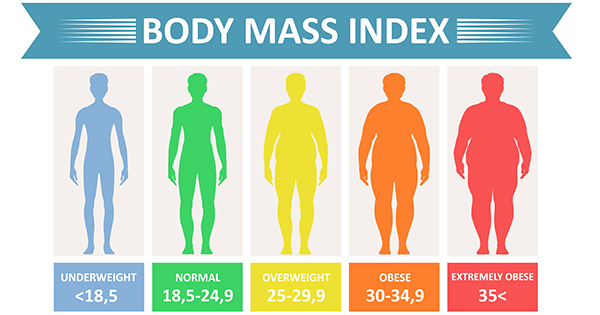 BMI Index Scale